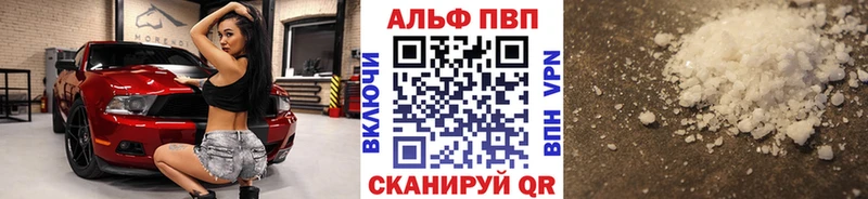 blacksprut ссылки Шенкурск A PVP крисы CK