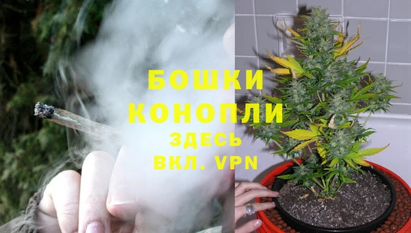 гидра Аша