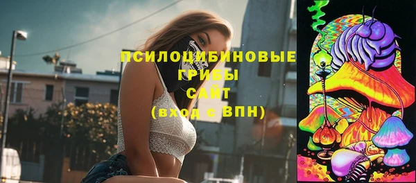 ешки Нефтекумск
