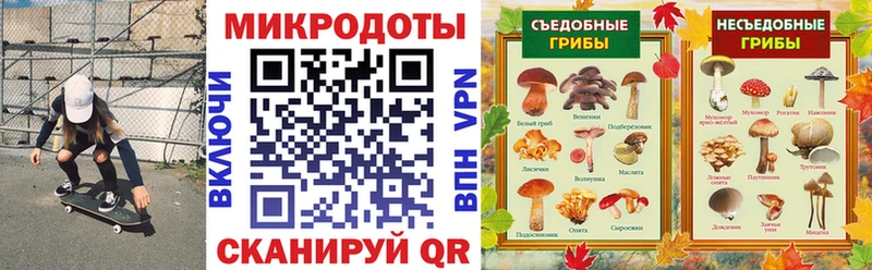 сколько стоит  Шенкурск  Галлюциногенные грибы Magic Shrooms 